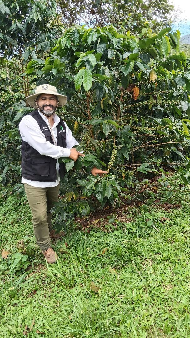Asesor con planta de café